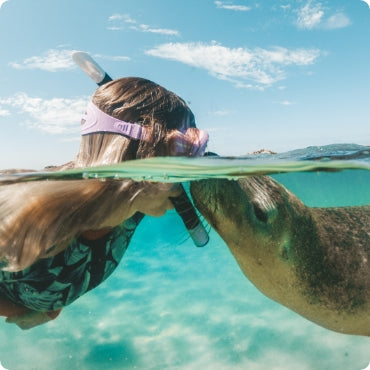 Swimming with seals experience