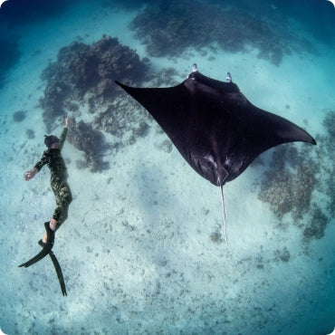 Snorkelling experience