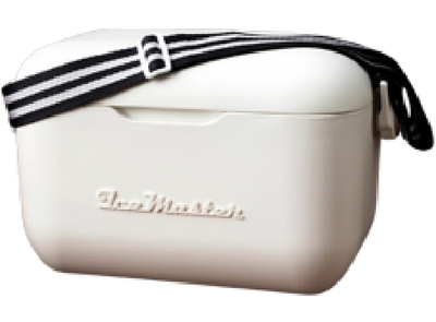 Insulated Retro 20L Cooler with Striped Carry Strap L 375 x W 237 x H 202mm